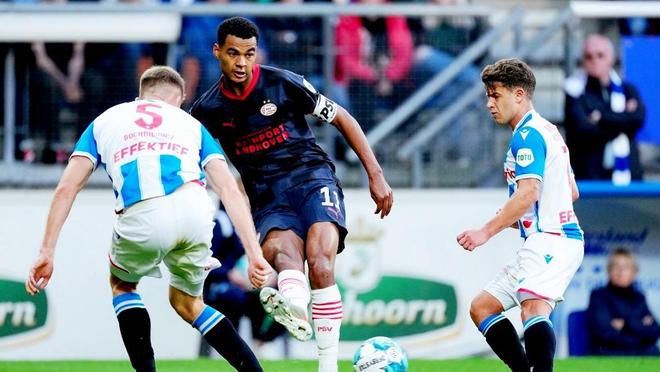 中更具优势 中更具优势